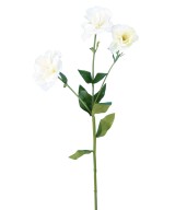 Kunstlik LISIANTHUS