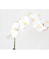 Artificial PHALAENOPSIS ORCHID CLUMP 85