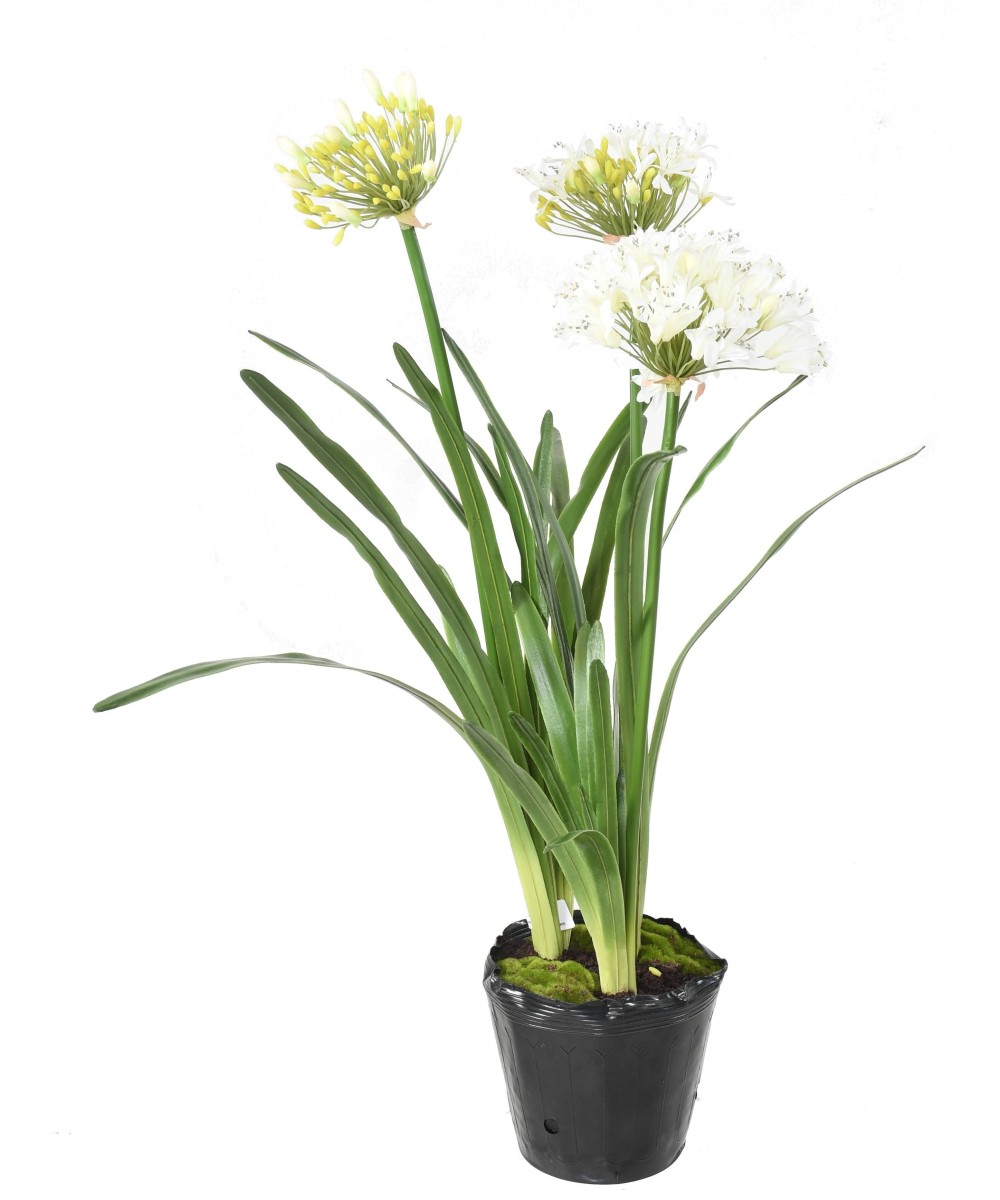 Artificial AGAPANTHUS IN A CLUMP