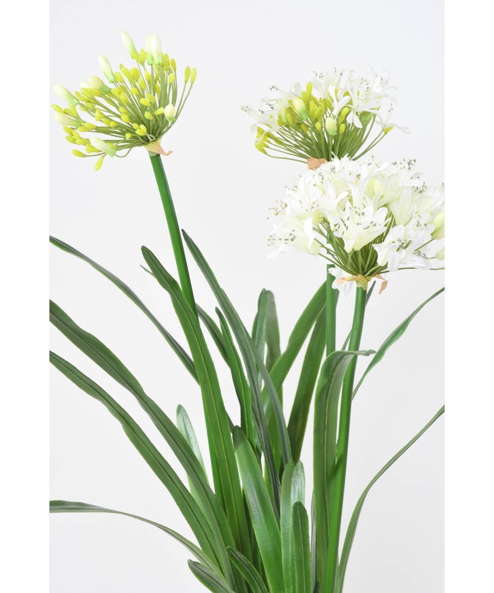Artificial AGAPANTHUS IN A CLUMP