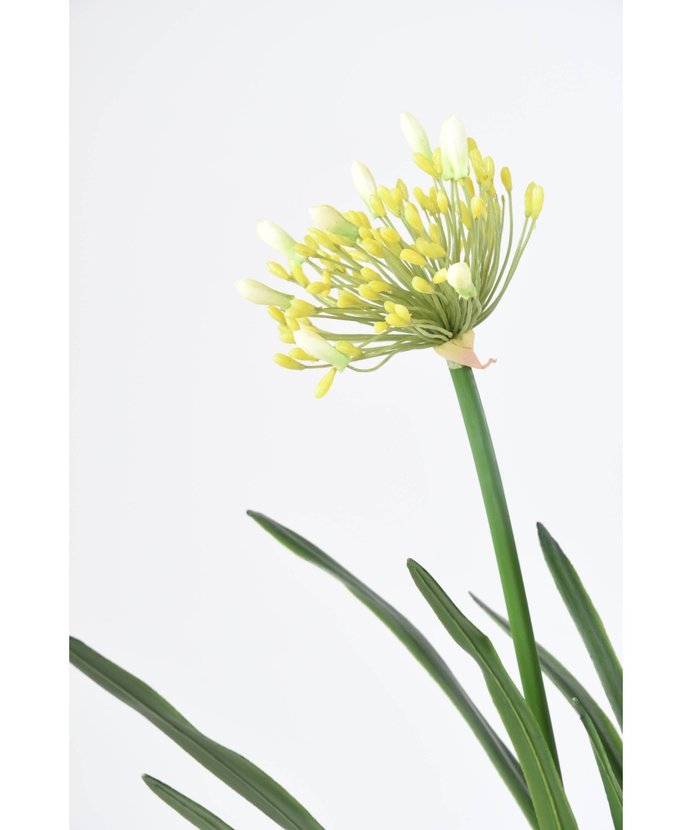 Kunstlik AGAPANTHUS KOBARAS