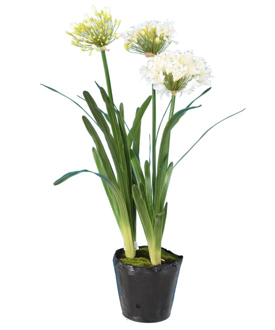 Kunstlik AGAPANTHUS KOBARAS