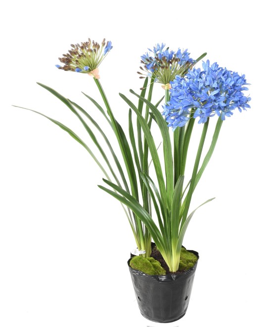Kunstlik AGAPANTHUS KOBARAS