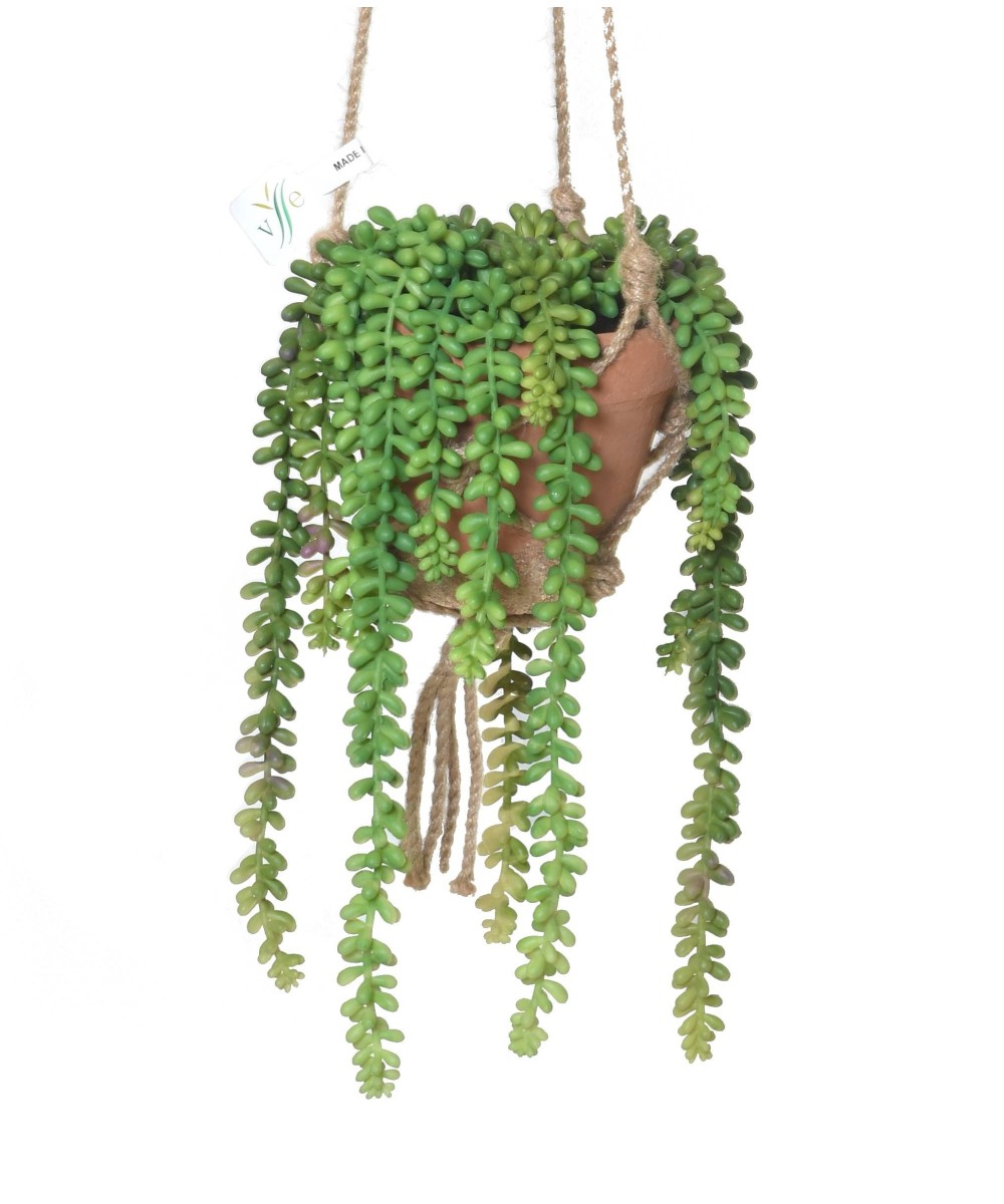 Artificial CRASSULA MACRAME COMP