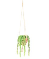 Artificial CRASSULA MACRAME COMP