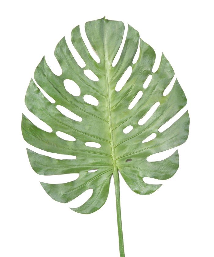 Kunstfilodendron MONSTERA VARS 120