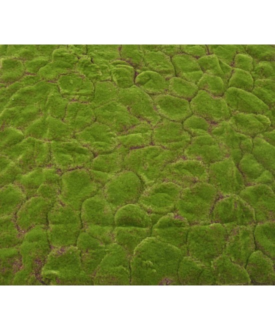 Artificial MOSS WALL PANEL C 103*103