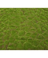 Artificial MOSS WALL PANEL C 103*103