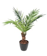 Artificial KENTIA trunk