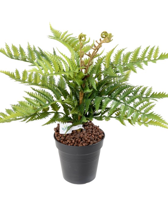 Kunstlik SÕJALAUD 12