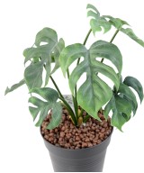 Kunstfilodendron MONSTERA *9