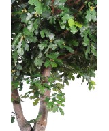 Artificial oak TREE