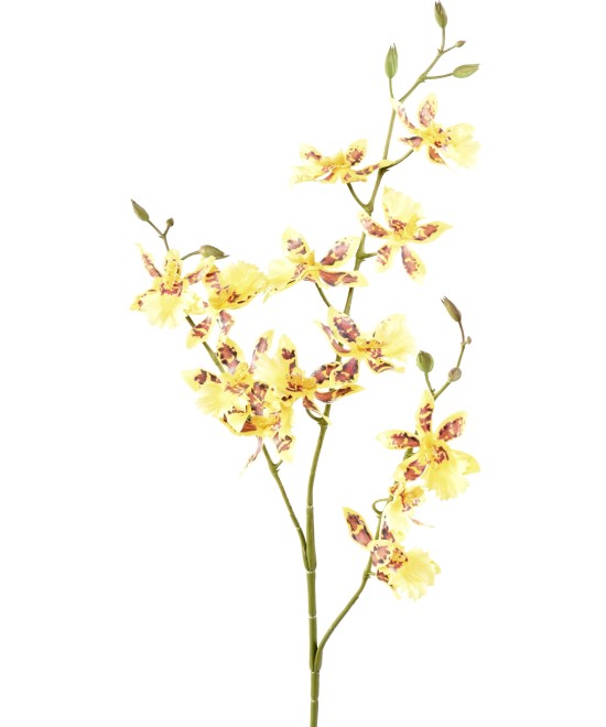 Artificial ONCIDIUM 13