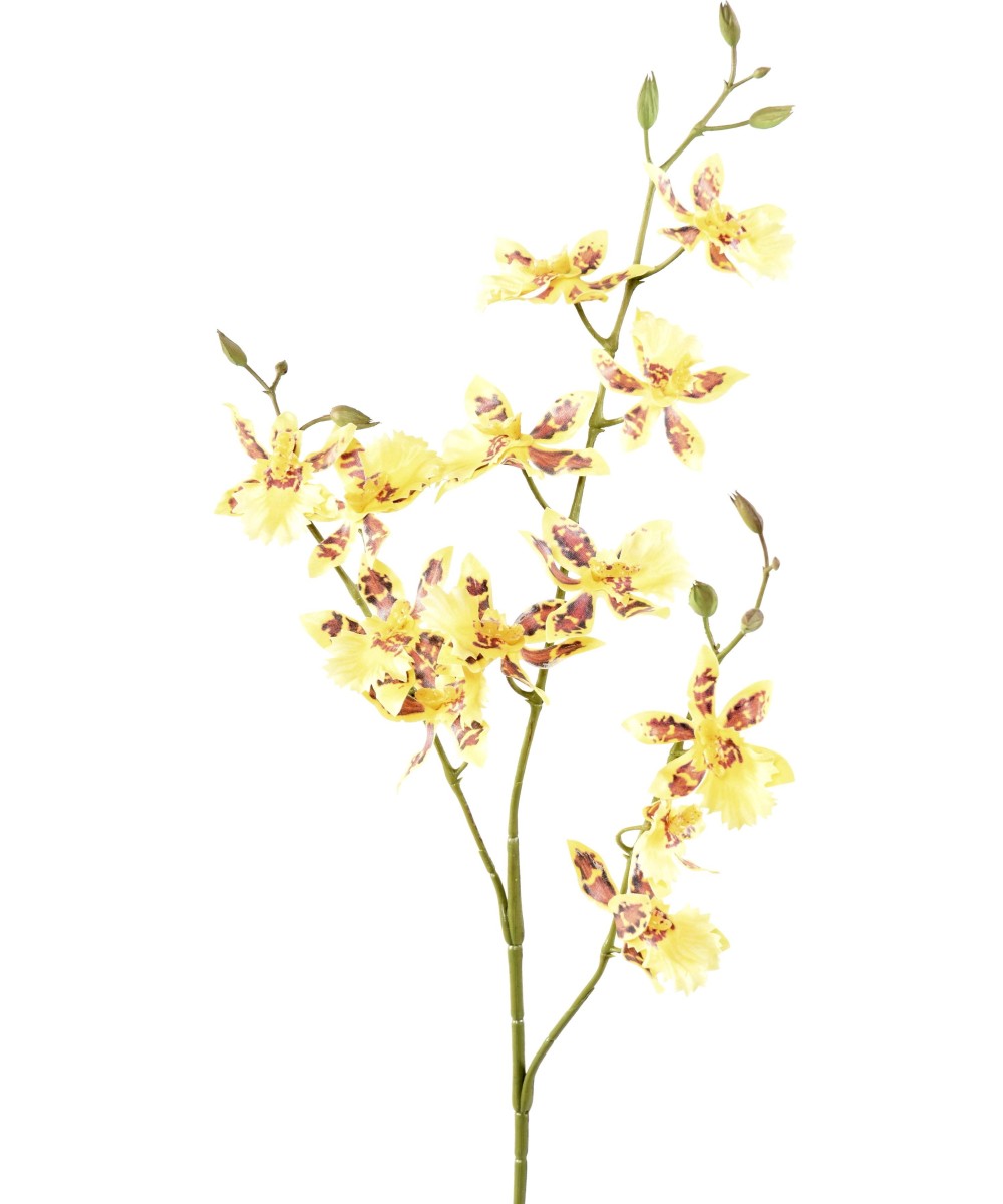 Artificial ONCIDIUM 13