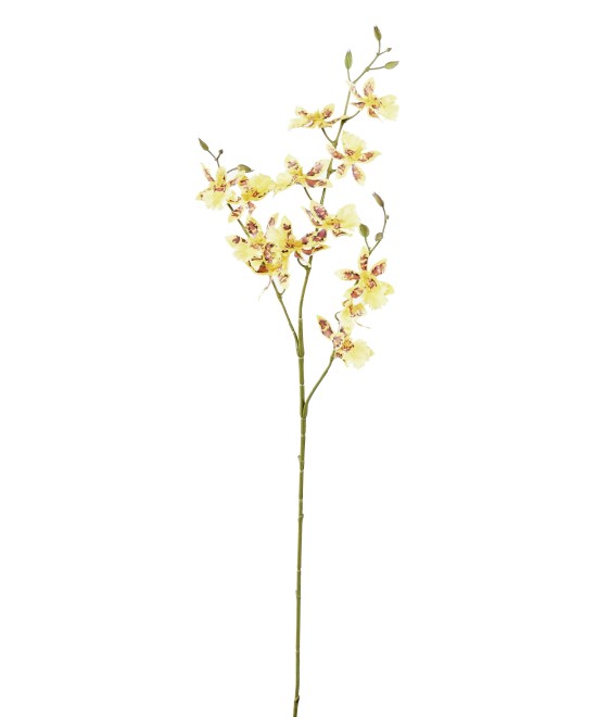 Kunstontsiidium 13