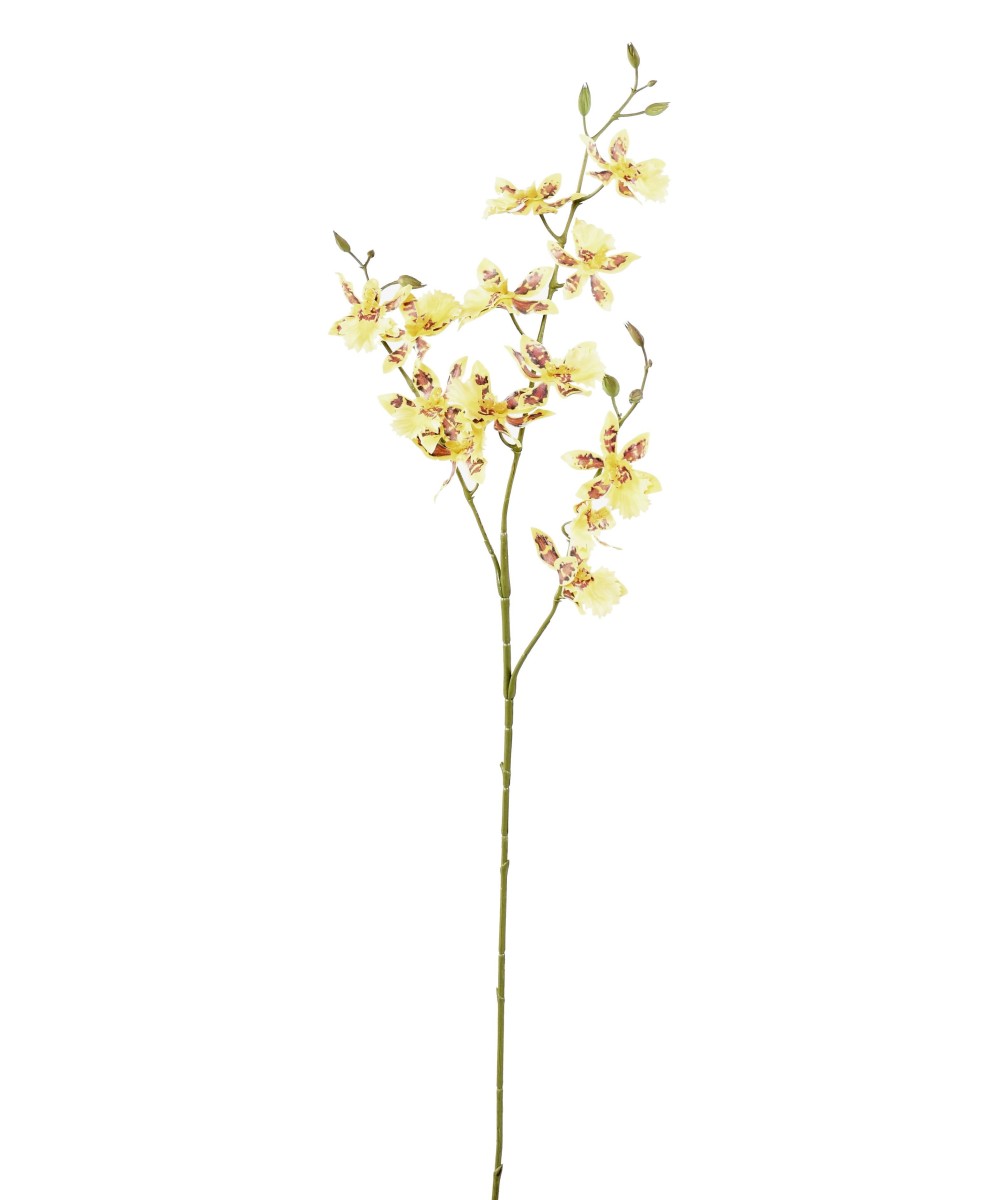 Artificial ONCIDIUM 13