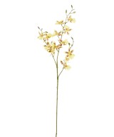 Kunstontsiidium 13