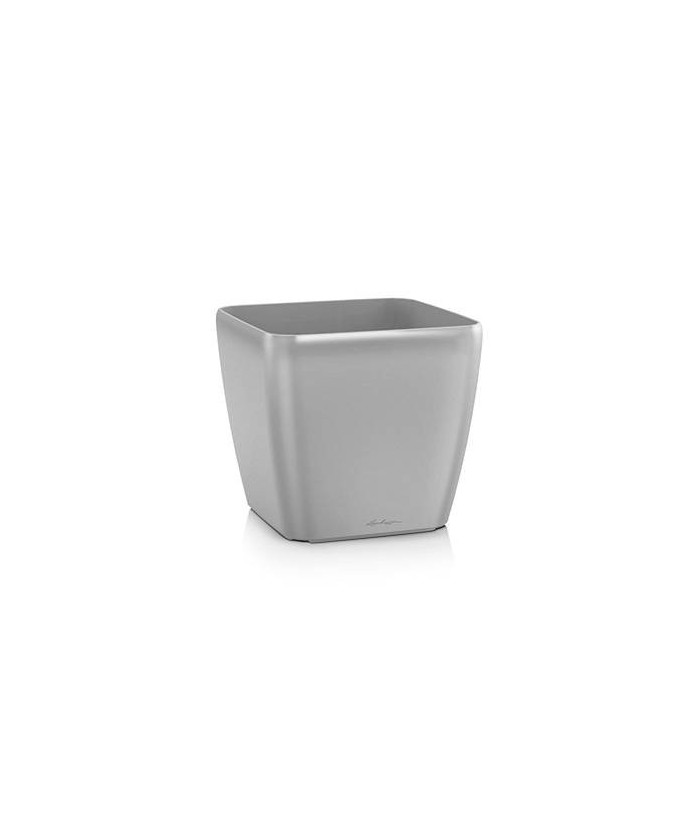 Quadro Premium - hõbedane metallik