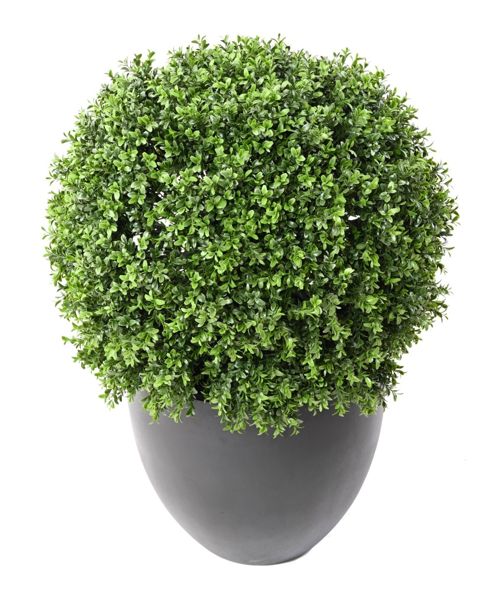 Artificial BOXWOOD BALL NEW REGULAR UV