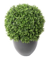 Kunstpukspuu pall, uus, tavaline, UV