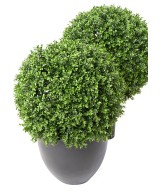 Artificial BOXWOOD BALL NEW REGULAR UV