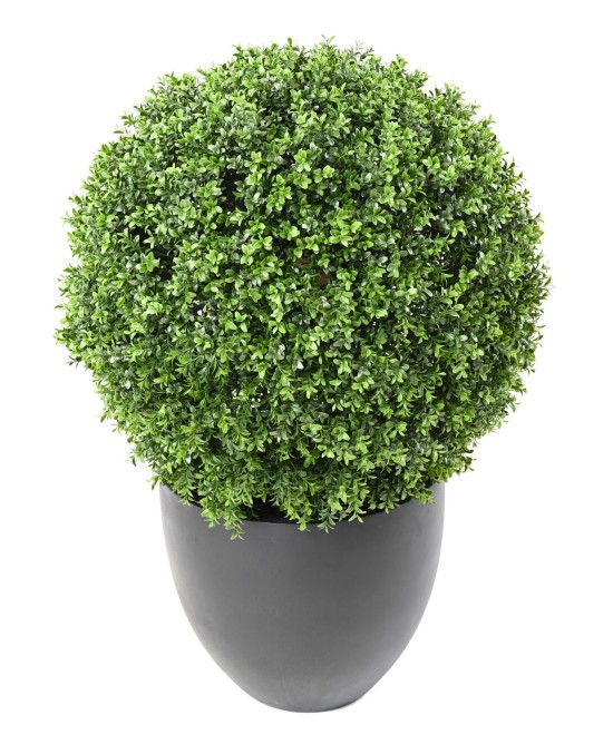 Kunstpukspuu pall, uus, tavaline, UV