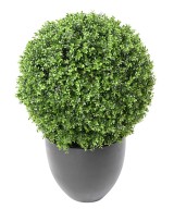 Kunstpukspuu pall, uus, tavaline, UV