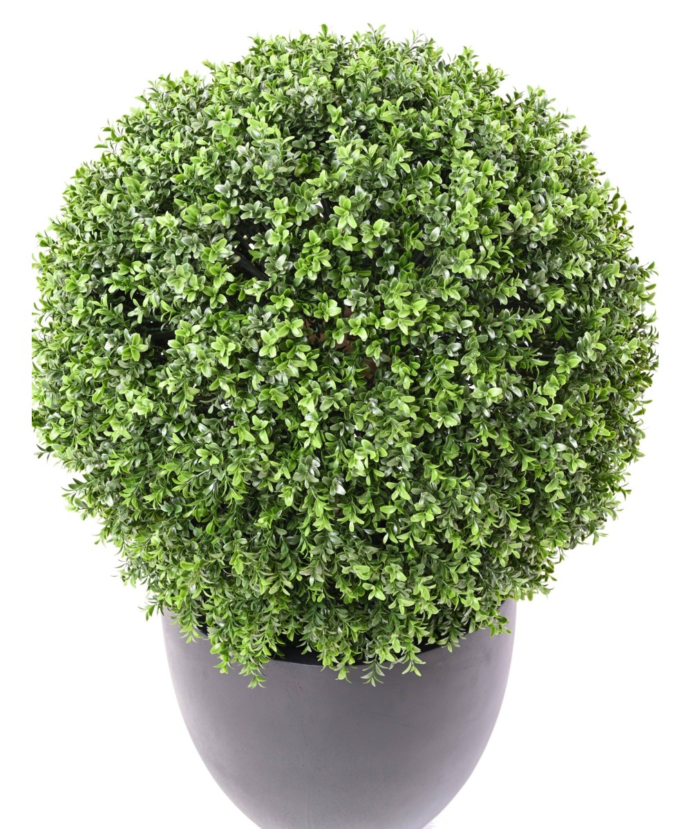 Kunstpukspuu pall, uus, tavaline, UV