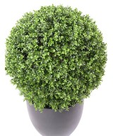 Kunstpukspuu pall, uus, tavaline, UV