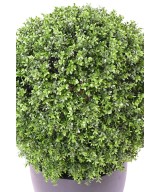 Kunstpukspuu pall, uus, tavaline, UV