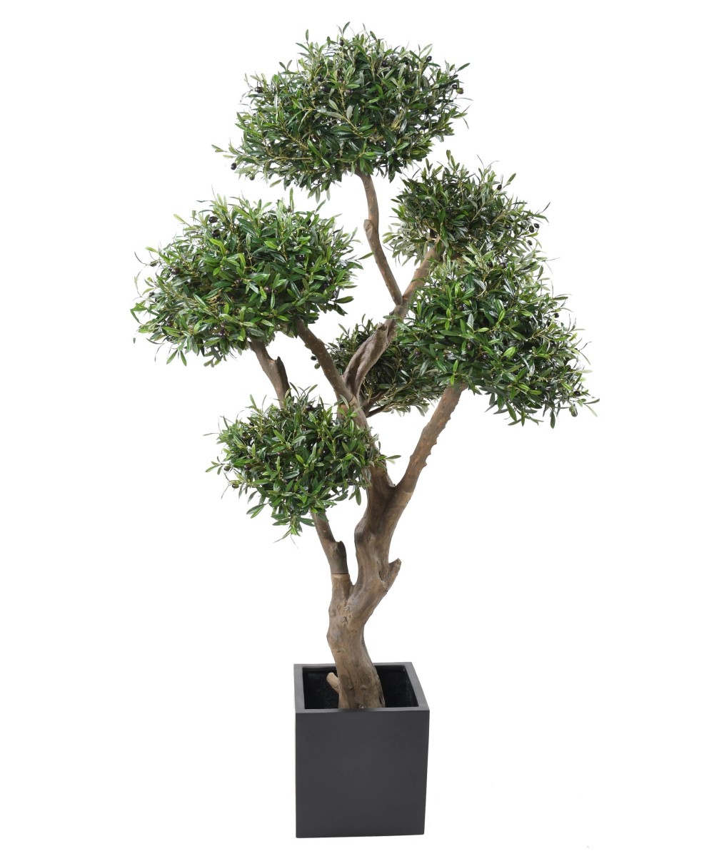 Kunstlik mitmepealine bonsai oliivipuu