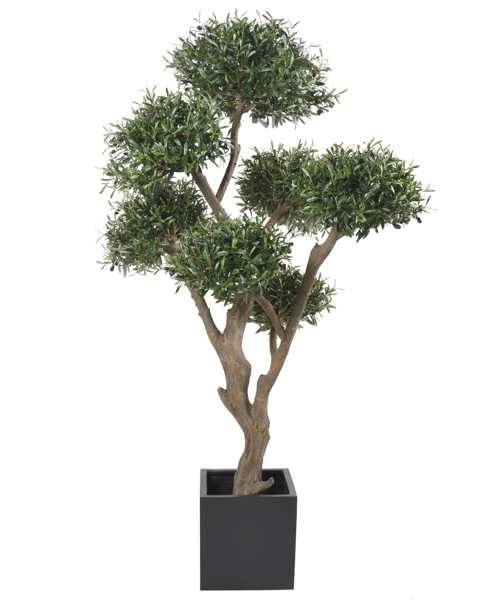 Kunstlik mitmepealine bonsai oliivipuu