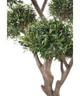 Kunstlik mitmepealine bonsai oliivipuu