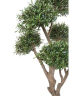 Kunstlik mitmepealine bonsai oliivipuu