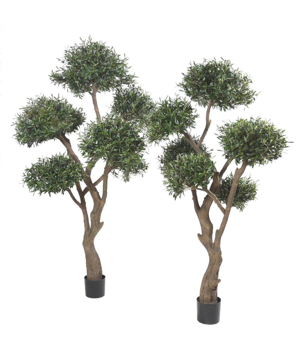 Kunstlik mitmepealine bonsai oliivipuu
