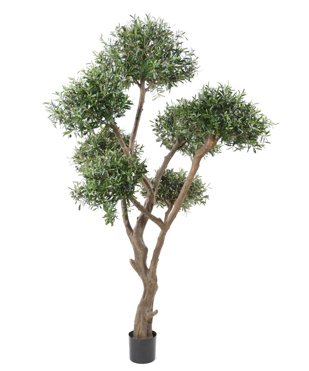 Kunstlik mitmepealine bonsai oliivipuu