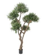 Kunstlik mitmepealine bonsai oliivipuu