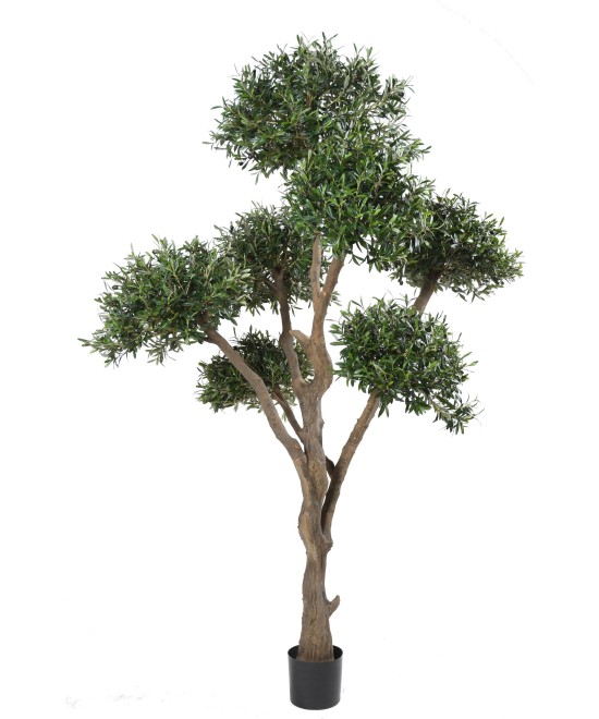 Kunstlik mitmepealine bonsai oliivipuu