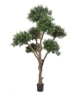 Kunstlik mitmepealine bonsai oliivipuu