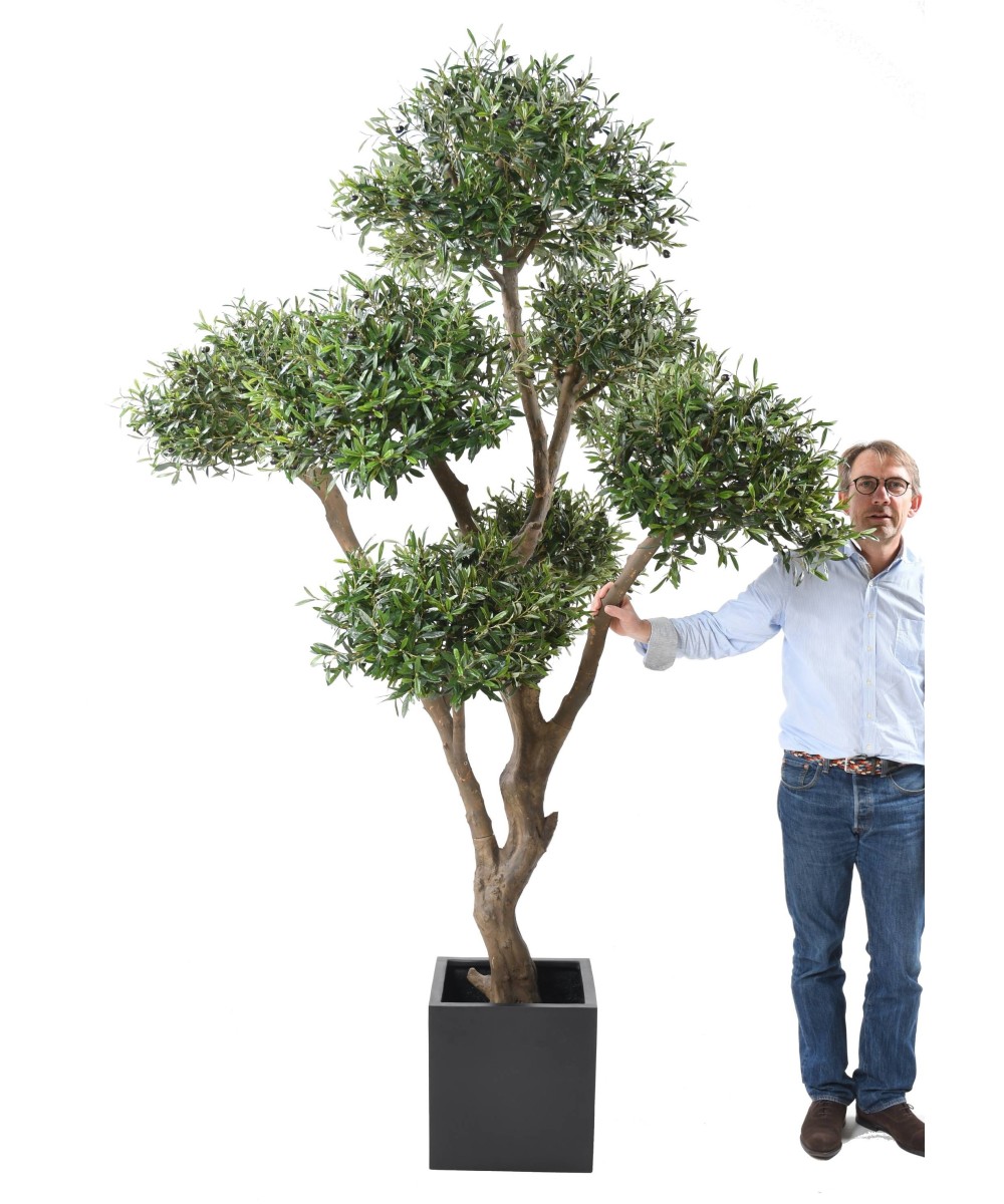 Kunstlik mitmepealine bonsai oliivipuu