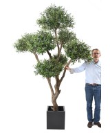 Artificial BONSAI OLIVE TREE MULTI HEAD