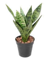 Artificial SANSEVIERIA BUSH *9