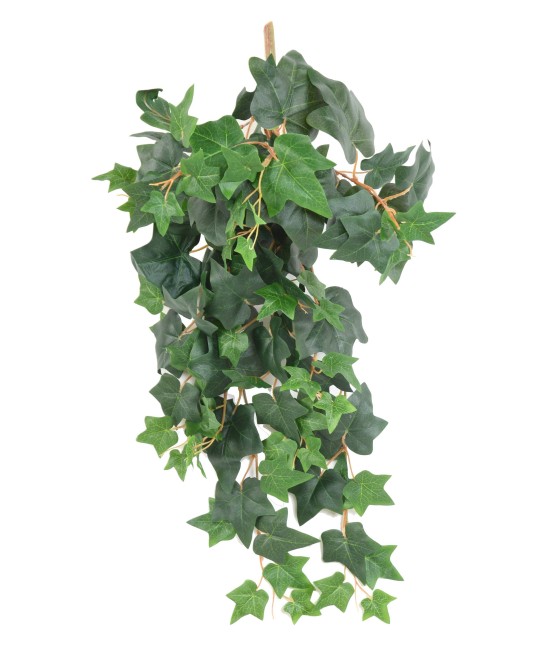 Artificial ENGLISH IVY