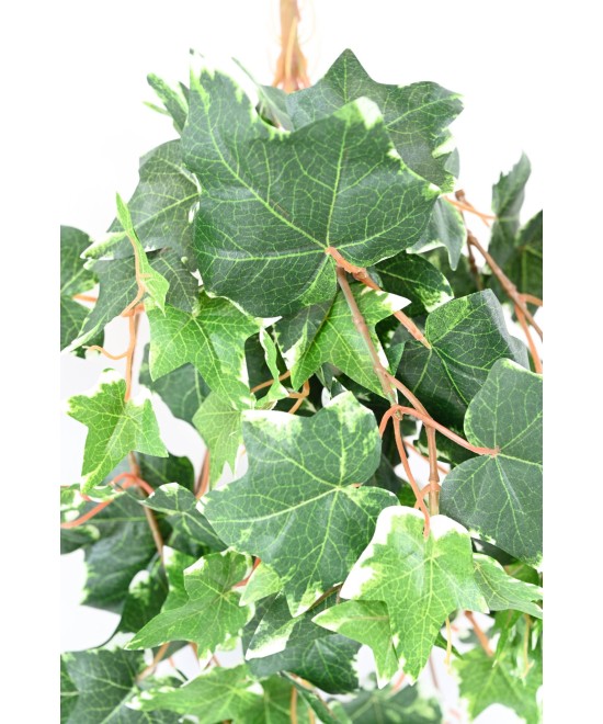Artificial DUTCH IVY