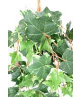 Artificial DUTCH IVY