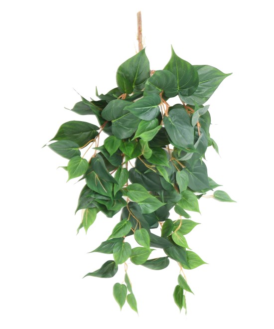 Artificial POTHOS