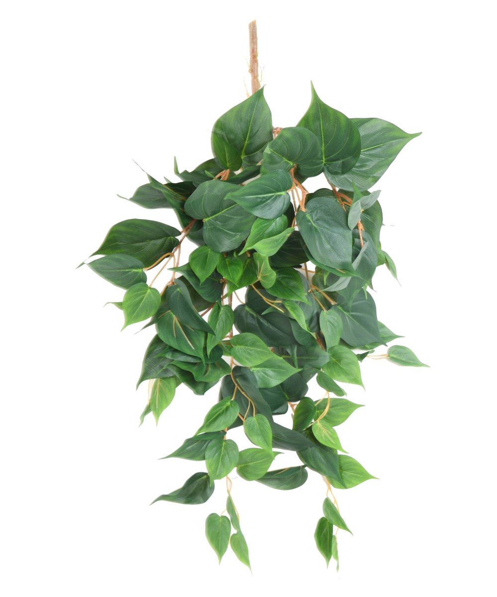 Artificial POTHOS