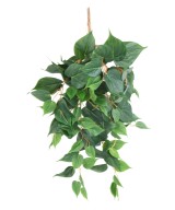 Artificial POTHOS