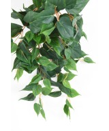 Kunstlikud POTHOS
