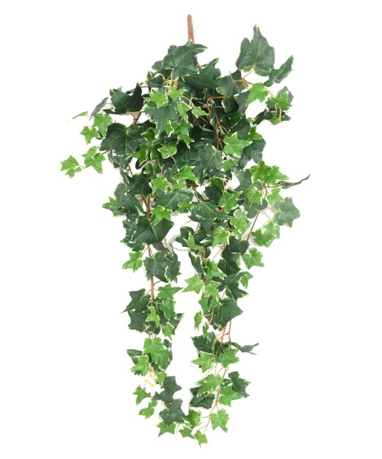 Artificial DUTCH IVY